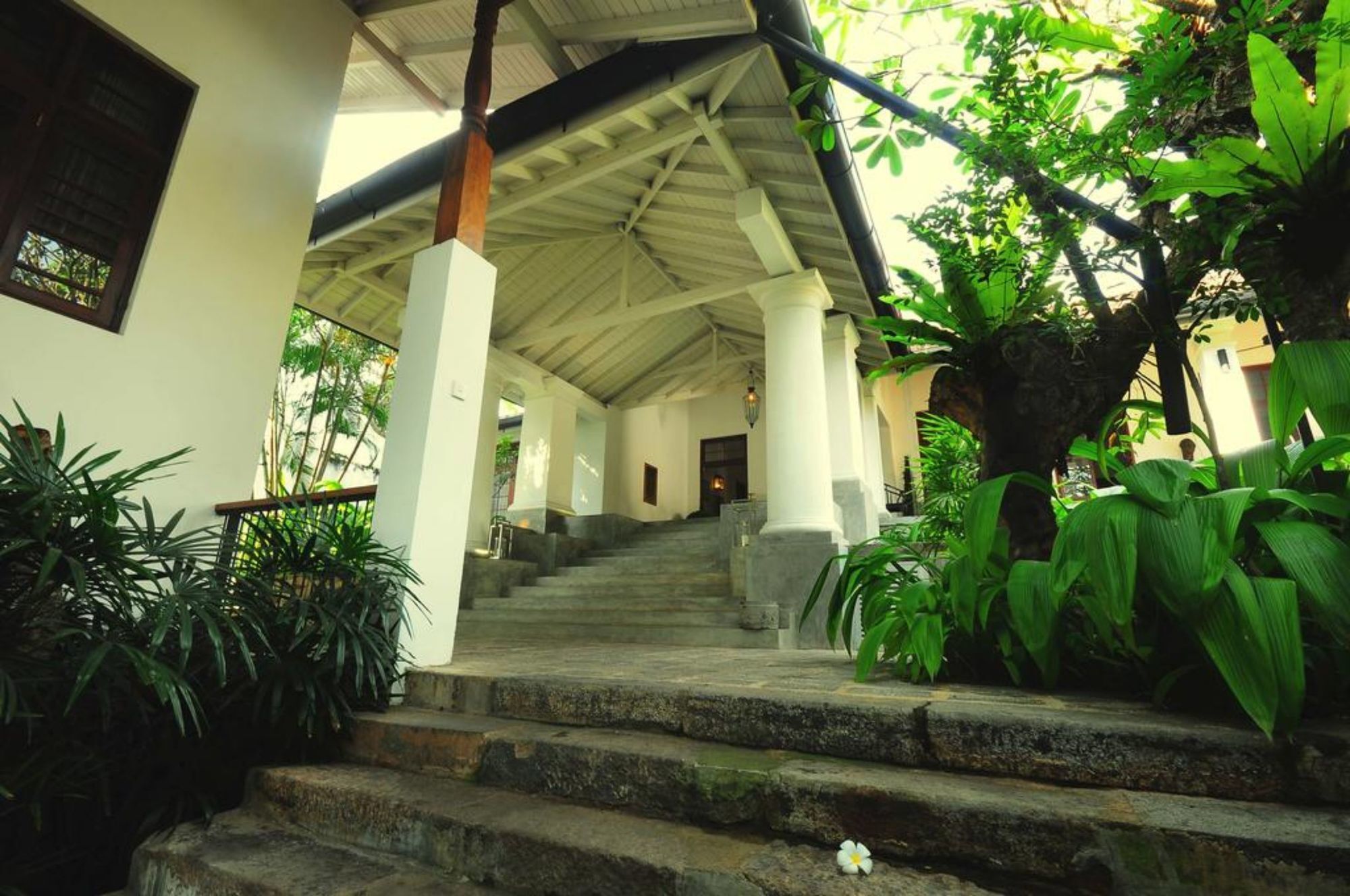 D Pavilion Boutique Hotel Kolombo Dış mekan fotoğraf